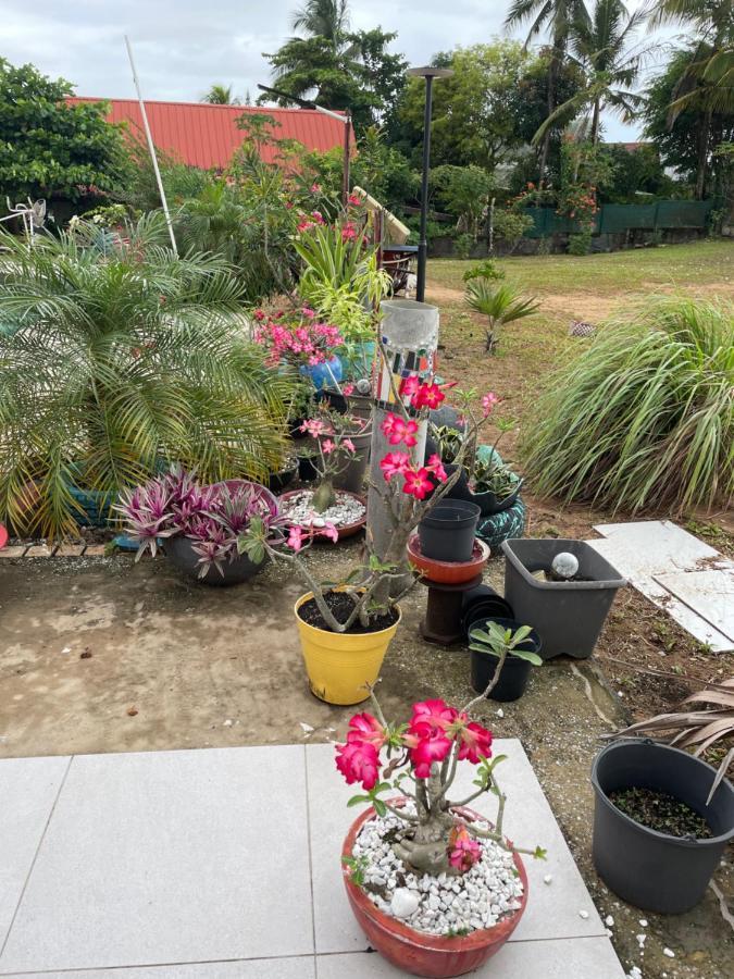 Tampok Lodge كايان المظهر الخارجي الصورة